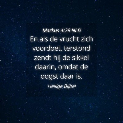 Picture 04 - Markus 4:29 NLD - En als de vrucht zich voordoet, terstond zendt - Bible Verse Picture