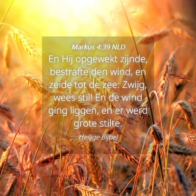 Picture 04 - Markus 4:39 NLD - En Hij opgewekt zijnde, bestrafte den wind, en - Bible Verse Picture