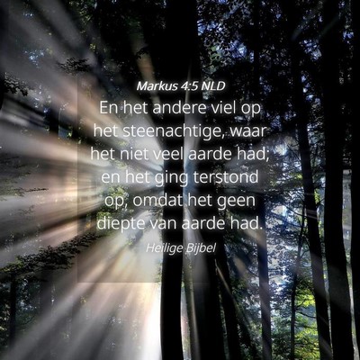 Picture 04 - Markus 4:5 NLD - En het andere viel op het steenachtige, waar het - Bible Verse Picture