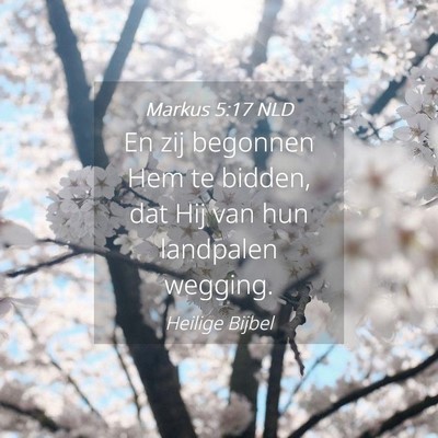 Picture 04 - Markus 5:17 NLD - En zij begonnen Hem te bidden, dat Hij van hun - Bible Verse Picture