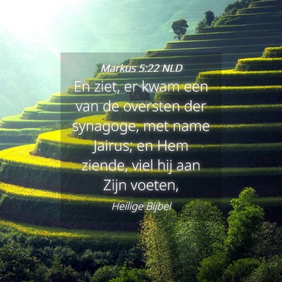 Picture 04 - Markus 5:22 NLD - En ziet, er kwam een van de oversten der - Bible Verse Picture
