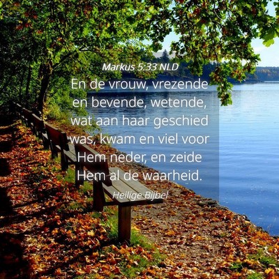 Picture 04 - Markus 5:33 NLD - En de vrouw, vrezende en bevende, wetende, wat - Bible Verse Picture