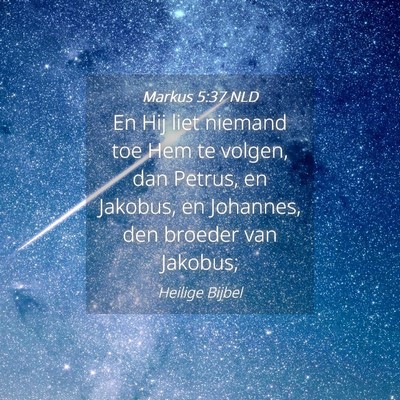 Picture 04 - Markus 5:37 NLD - En Hij liet niemand toe Hem te volgen, dan - Bible Verse Picture