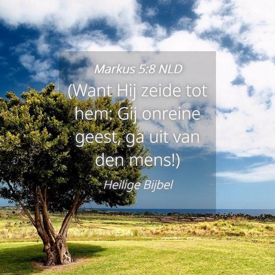 Picture 04 - Markus 5:8 NLD - (Want Hij zeide tot hem: Gij onreine geest, ga - Bible Verse Picture