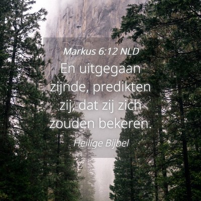 Picture 04 - Markus 6:12 NLD - En uitgegaan zijnde, predikten zij, dat zij zich - Bible Verse Picture
