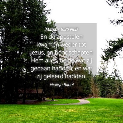 Picture 04 - Markus 6:30 NLD - En de apostelen kwamen weder tot Jezus, en - Bible Verse Picture