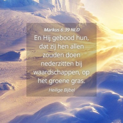 Picture 04 - Markus 6:39 NLD - En Hij gebood hun, dat zij hen allen zouden doen - Bible Verse Picture