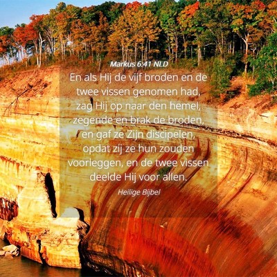 Picture 04 - Markus 6:41 NLD - En als Hij de vijf broden en de twee vissen - Bible Verse Picture