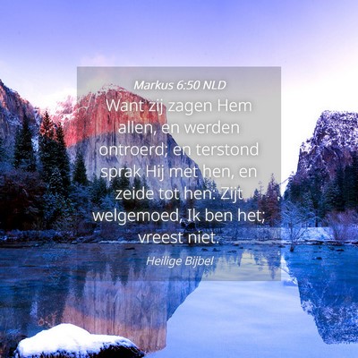 Picture 04 - Markus 6:50 NLD - Want zij zagen Hem allen, en werden ontroerd; en - Bible Verse Picture