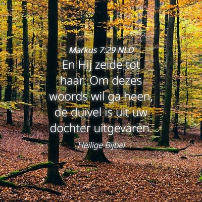 Picture 04 - Markus 7:29 NLD - En Hij zeide tot haar: Om dezes woords wil ga - Bible Verse Picture