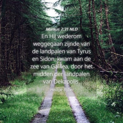 Picture 04 - Markus 7:31 NLD - En Hij wederom weggegaan zijnde van de landpalen - Bible Verse Picture