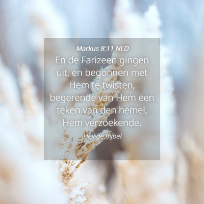 Picture 04 - Markus 8:11 NLD - En de Farizeen gingen uit, en begonnen met Hem te - Bible Verse Picture