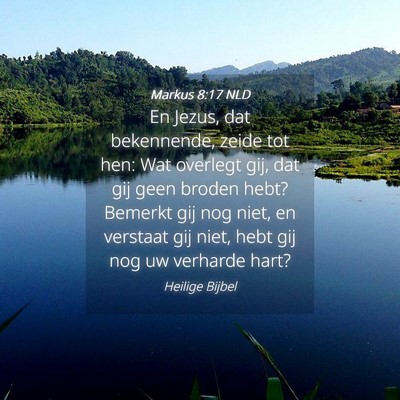 Picture 04 - Markus 8:17 NLD - En Jezus, dat bekennende, zeide tot hen: Wat - Bible Verse Picture