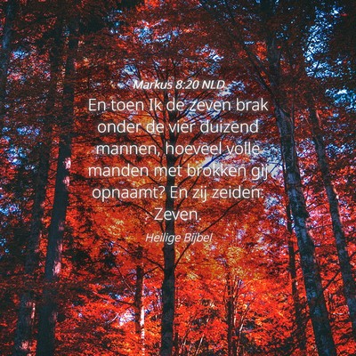 Picture 04 - Markus 8:20 NLD - En toen Ik de zeven brak onder de vier duizend - Bible Verse Picture