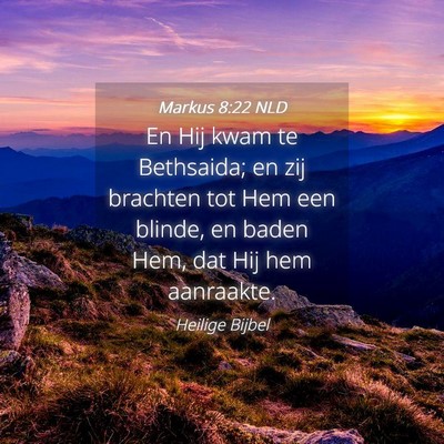 Picture 04 - Markus 8:22 NLD - En Hij kwam te Bethsaida; en zij brachten tot Hem - Bible Verse Picture