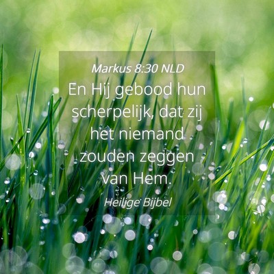 Picture 04 - Markus 8:30 NLD - En Hij gebood hun scherpelijk, dat zij het - Bible Verse Picture