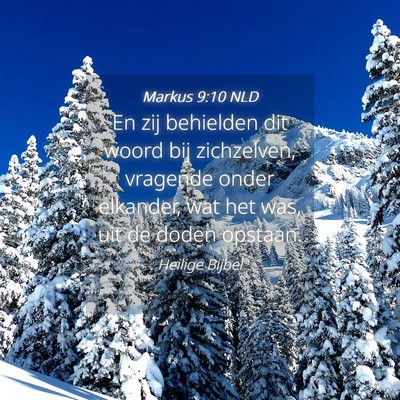 Picture 04 - Markus 9:10 NLD - En zij behielden dit woord bij zichzelven, - Bible Verse Picture