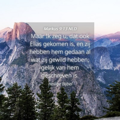Picture 04 - Markus 9:13 NLD - Maar Ik zeg u, dat ook Elias gekomen is, en zij - Bible Verse Picture