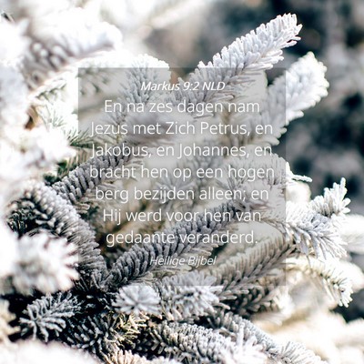 Picture 04 - Markus 9:2 NLD - En na zes dagen nam Jezus met Zich Petrus, en - Bible Verse Picture