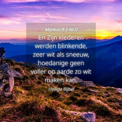 Picture 04 - Markus 9:3 NLD - En Zijn klederen werden blinkende, zeer wit als - Bible Verse Picture