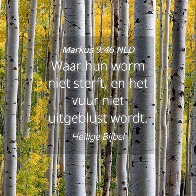 Picture 04 - Markus 9:46 NLD - Waar hun worm niet sterft, en het vuur niet - Bible Verse Picture