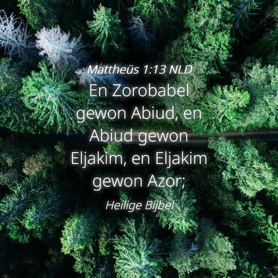 Picture 04 - Mattheüs 1:13 NLD - En Zorobabel gewon Abiud, en Abiud gewon Eljakim, - Bible Verse Picture