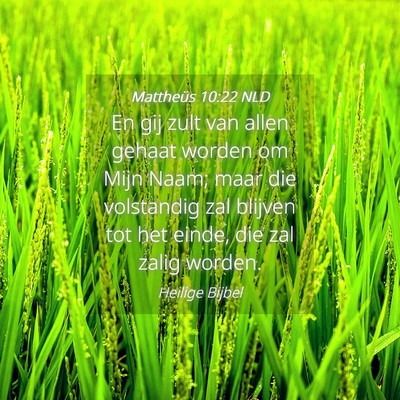 Picture 04 - Mattheüs 10:22 NLD - En gij zult van allen gehaat worden om Mijn Naam; - Bible Verse Picture