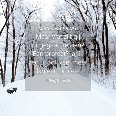 Picture 04 - Mattheüs 11:9 NLD - Maar wat zijt gij uitgegaan te zien? Een profeet? - Bible Verse Picture