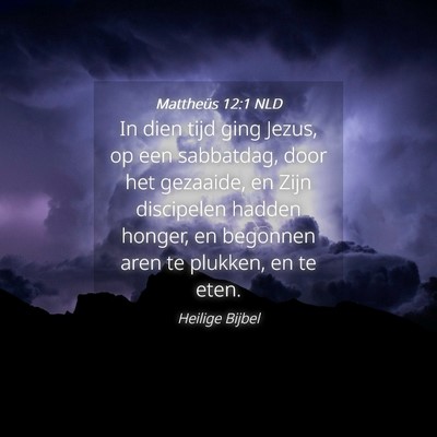 Picture 04 - Mattheüs 12:1 NLD - In dien tijd ging Jezus, op een sabbatdag, door - Bible Verse Picture