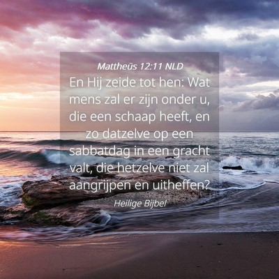 Picture 04 - Mattheüs 12:11 NLD - En Hij zeide tot hen: Wat mens zal er zijn onder - Bible Verse Picture