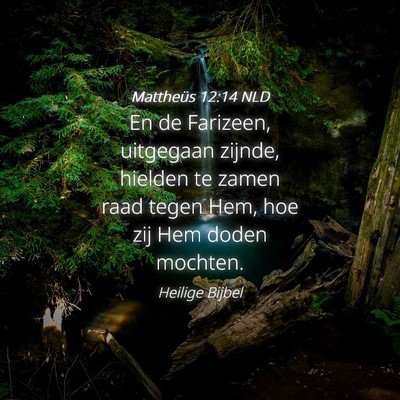 Picture 04 - Mattheüs 12:14 NLD - En de Farizeen, uitgegaan zijnde, hielden te - Bible Verse Picture