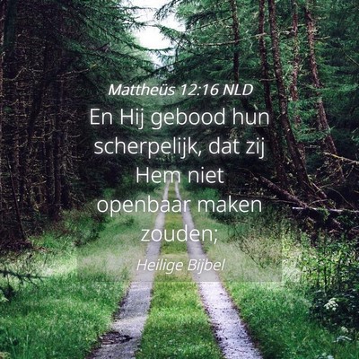 Picture 04 - Mattheüs 12:16 NLD - En Hij gebood hun scherpelijk, dat zij Hem niet - Bible Verse Picture