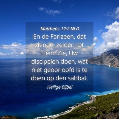 Picture 04 - Mattheüs 12:2 NLD - En de Farizeen, dat ziende, zeiden tot Hem: Zie, - Bible Verse Picture