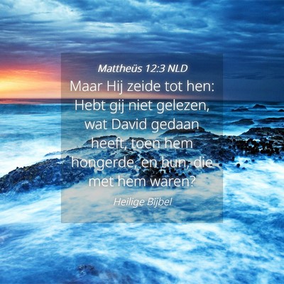 Picture 04 - Mattheüs 12:3 NLD - Maar Hij zeide tot hen: Hebt gij niet gelezen, - Bible Verse Picture