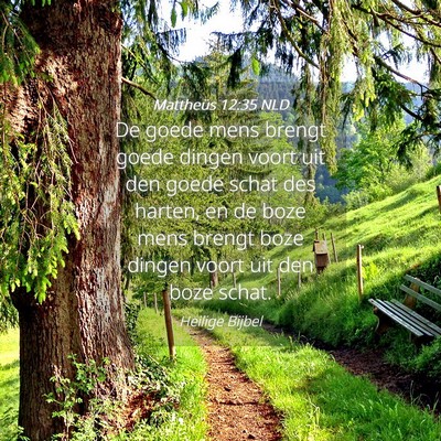 Picture 04 - Mattheüs 12:35 NLD - De goede mens brengt goede dingen voort uit den - Bible Verse Picture