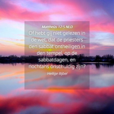 Picture 04 - Mattheüs 12:5 NLD - Of hebt gij niet gelezen in de wet, dat de - Bible Verse Picture