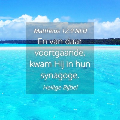 Picture 04 - Mattheüs 12:9 NLD - En van daar voortgaande, kwam Hij in hun - Bible Verse Picture