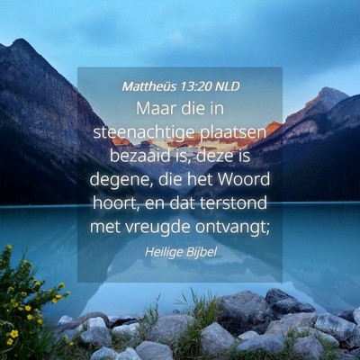 Picture 04 - Mattheüs 13:20 NLD - Maar die in steenachtige plaatsen bezaaid is, - Bible Verse Picture