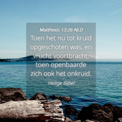 Picture 04 - Mattheüs 13:26 NLD - Toen het nu tot kruid opgeschoten was, en vrucht - Bible Verse Picture