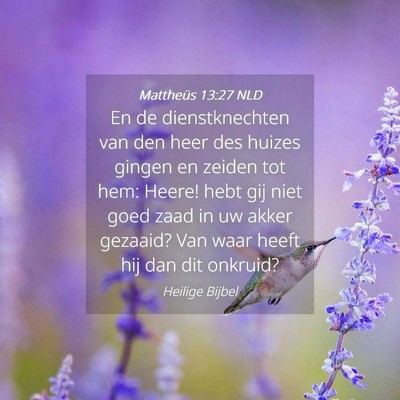 Picture 04 - Mattheüs 13:27 NLD - En de dienstknechten van den heer des huizes - Bible Verse Picture