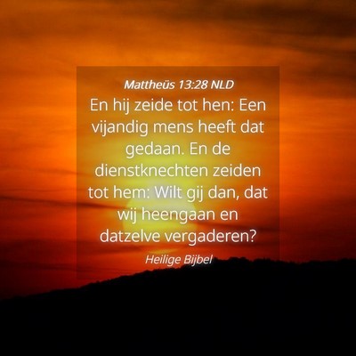 Picture 04 - Mattheüs 13:28 NLD - En hij zeide tot hen: Een vijandig mens heeft dat - Bible Verse Picture