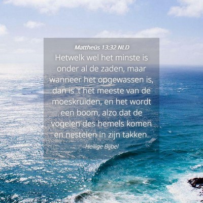Picture 04 - Mattheüs 13:32 NLD - Hetwelk wel het minste is onder al de zaden, maar - Bible Verse Picture