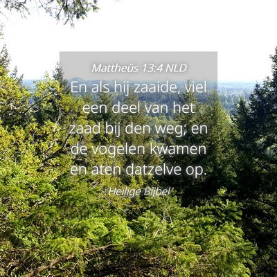 Picture 04 - Mattheüs 13:4 NLD - En als hij zaaide, viel een deel van het zaad bij - Bible Verse Picture