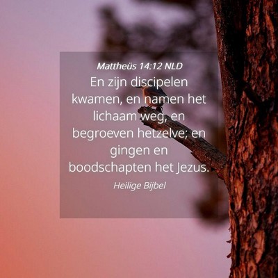 Picture 04 - Mattheüs 14:12 NLD - En zijn discipelen kwamen, en namen het lichaam - Bible Verse Picture