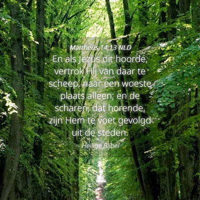 Picture 04 - Mattheüs 14:13 NLD - En als Jezus dit hoorde, vertrok Hij van daar te - Bible Verse Picture