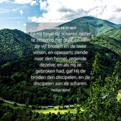 Picture 04 - Mattheüs 14:19 NLD - En Hij beval de scharen neder te zitten op het - Bible Verse Picture