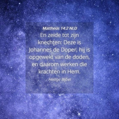 Picture 04 - Mattheüs 14:2 NLD - En zeide tot zijn knechten: Deze is Johannes de - Bible Verse Picture