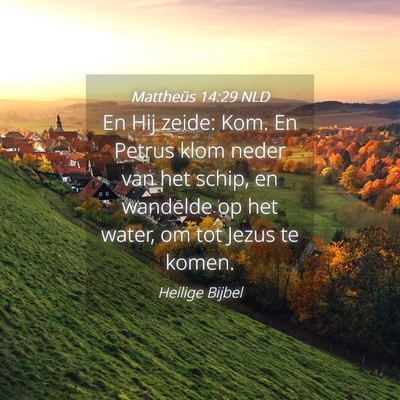 Picture 04 - Mattheüs 14:29 NLD - En Hij zeide: Kom. En Petrus klom neder van het - Bible Verse Picture