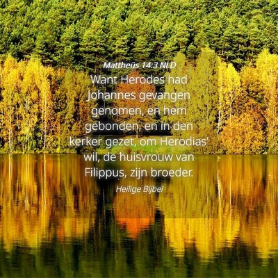 Picture 04 - Mattheüs 14:3 NLD - Want Herodes had Johannes gevangen genomen, en - Bible Verse Picture