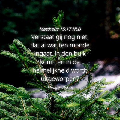 Picture 04 - Mattheüs 15:17 NLD - Verstaat gij nog niet, dat al wat ten monde - Bible Verse Picture